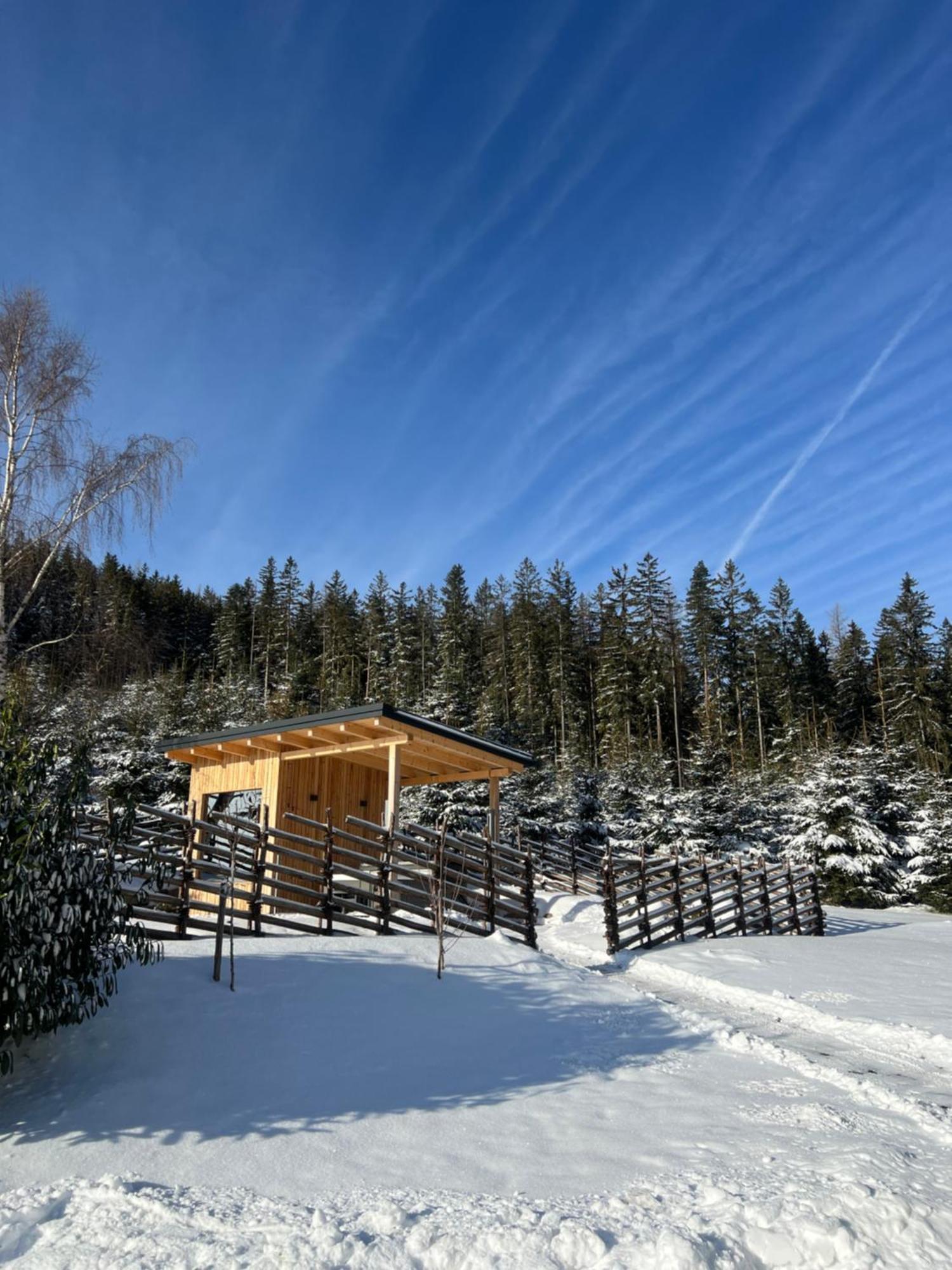 Waldheimatblick Villa Sankt Kathrein am Hauenstein Ngoại thất bức ảnh